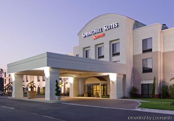 Springhill Suites By Marriott Corpus Christi Exterior photo